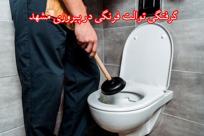 گرفتگی توالت فرنگی